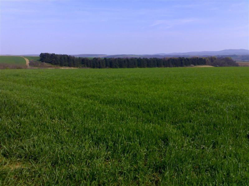 200704091699 .jpg